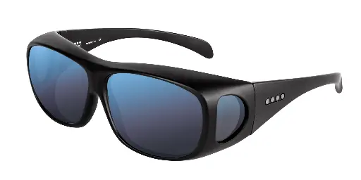 Receptor Black Glasses Cx3 Outdoor Protan Sun Lens – Enchroma